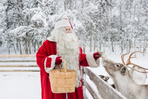 Reindeer Farm Visit with Sleigh Ride