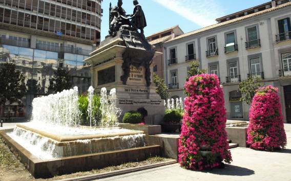 Historisches Stadtzentrum und Albaicín Private Tour