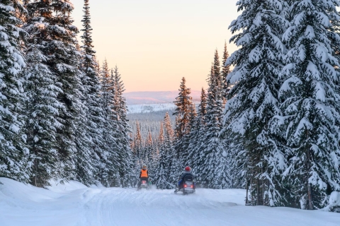 Rovaniemi: aventura de safari en moto de nieveRovaniemi: aventura de safari en moto de nieve - 2 personas