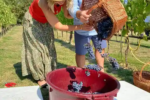 Colheita, pisoteio e passeios