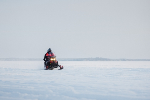 Rovaniemi: Safari na skuterach śnieżnych za kołem podbiegunowym
