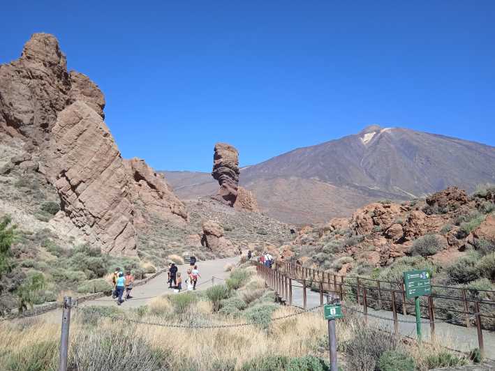 Van Tenerife: begeleide dagtocht naar Nationaal Park Teide met de bus