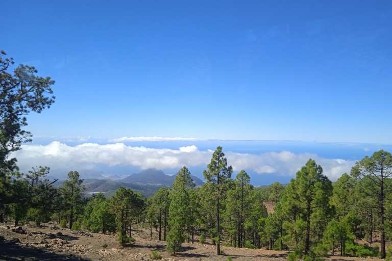 From Tenerife: Teide National Park Guided Day Trip by Bus Guided tour in French