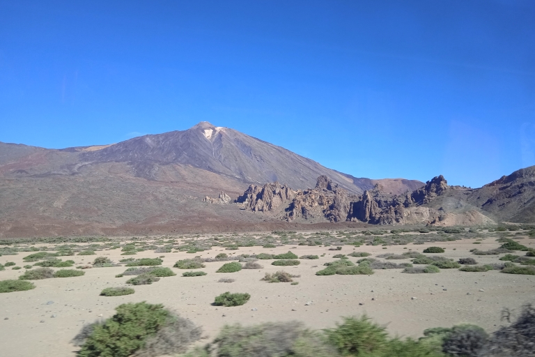 Van Tenerife: begeleide dagtocht naar Nationaal Park Teide met de busRondleiding in het Frans