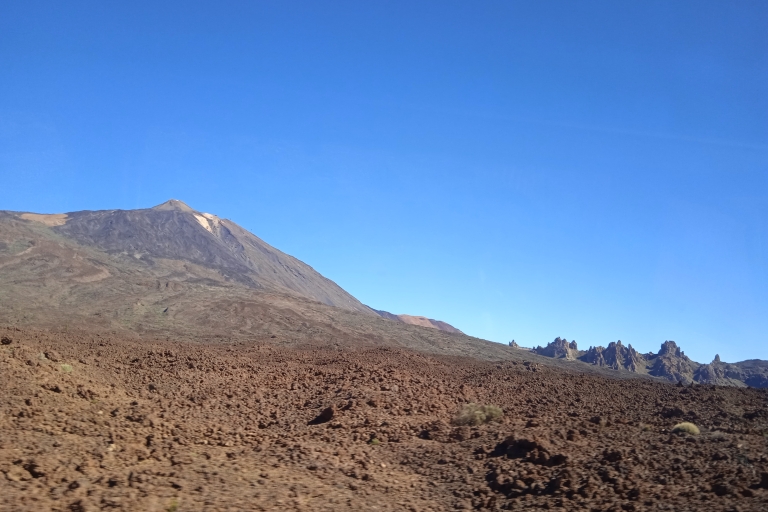 Von Teneriffa aus: Geführter Tagesausflug mit dem Bus in den Teide-NationalparkGeführte Tour auf Französisch