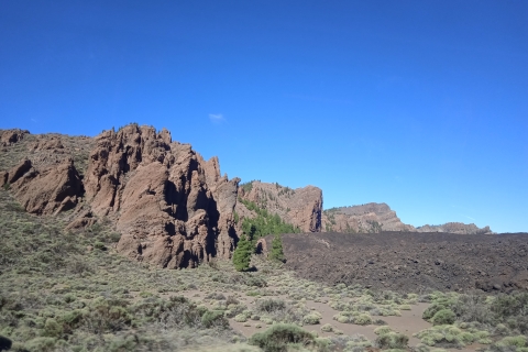 From Tenerife: Teide National Park Guided Day Trip by Bus Guided tour in French