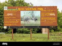 Uma fuga para Mole Park na região norte, Gana - Hizvo