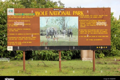 Eine Flucht zum Mole Park in der Northern Region, GhanaEine Flucht zum Mole Park in der nördlichen Region OF