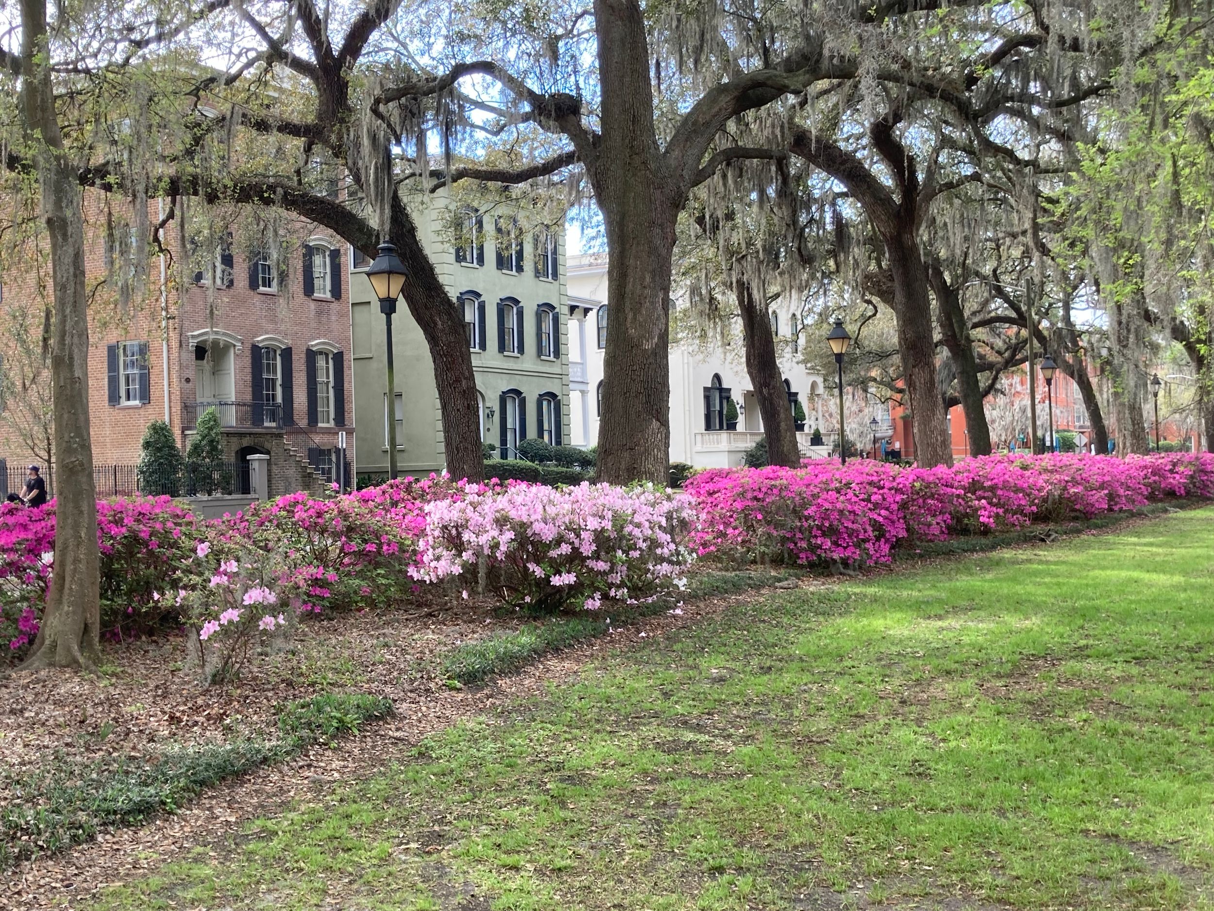 Savannah: Highlights & Geheimtipps Geführter Rundgang