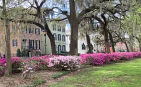Savannah: Highlights & Hidden Gems Guided Walking Tour