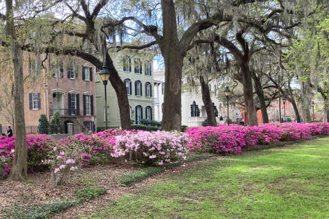 Savannah: Highlights Off the Beaten Path Guided Walking Tour