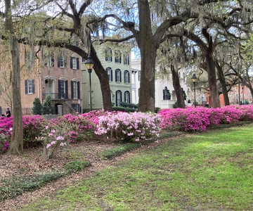 Savannah: Highlights Off the Beaten Path Guided Walking Tour