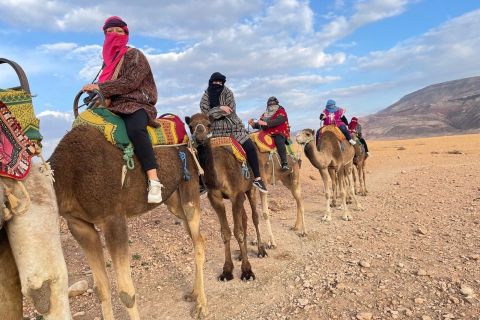 Marrakech: Atlas Mountains, Berber Villages & Waterfall Tour