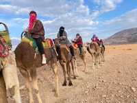 Marrakech, montagnes de l'Atlas, villages berbères et visite des chutes d'eau - Hizvo