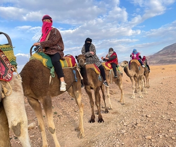 Marrakech: Montagne dell'Atlante, giro in cammello, cascate e pranzo