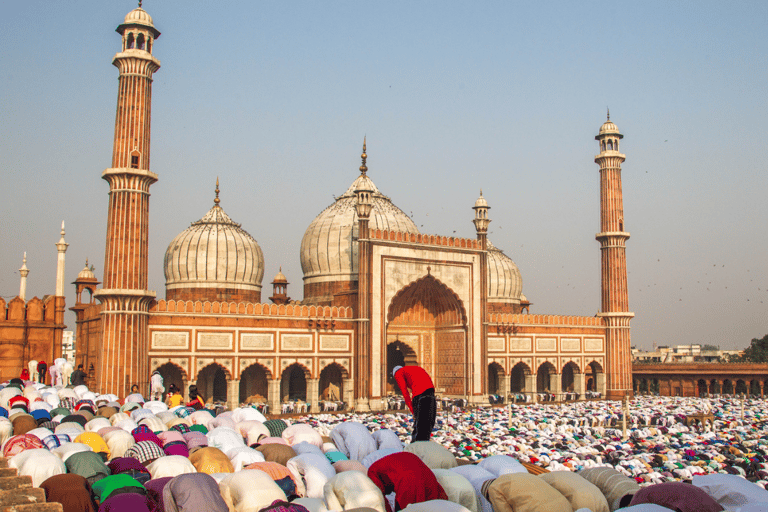 Private Ganztagestour durch Alt- und Neu-Delhi mit Guide