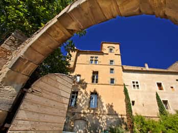 Château de Luc: Unique visit and wine tasting