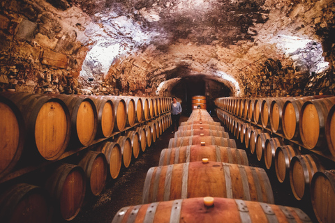 Château de Luc: visita unica e degustazione di vini