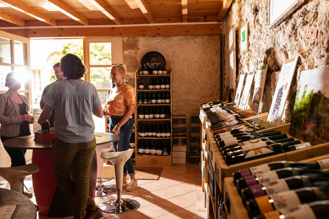 Château de Luc: Visita única e prova de vinhos