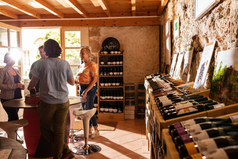 Château de Luc: visita unica e degustazione di vini