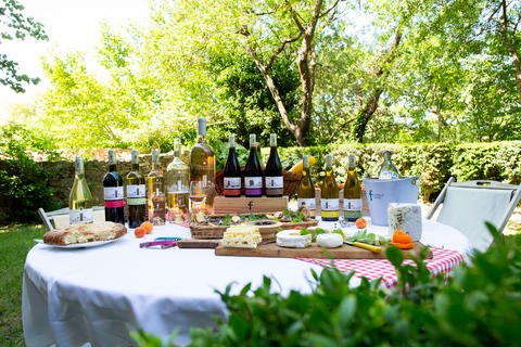 Château de Luc : visite unique et dégustation de vins