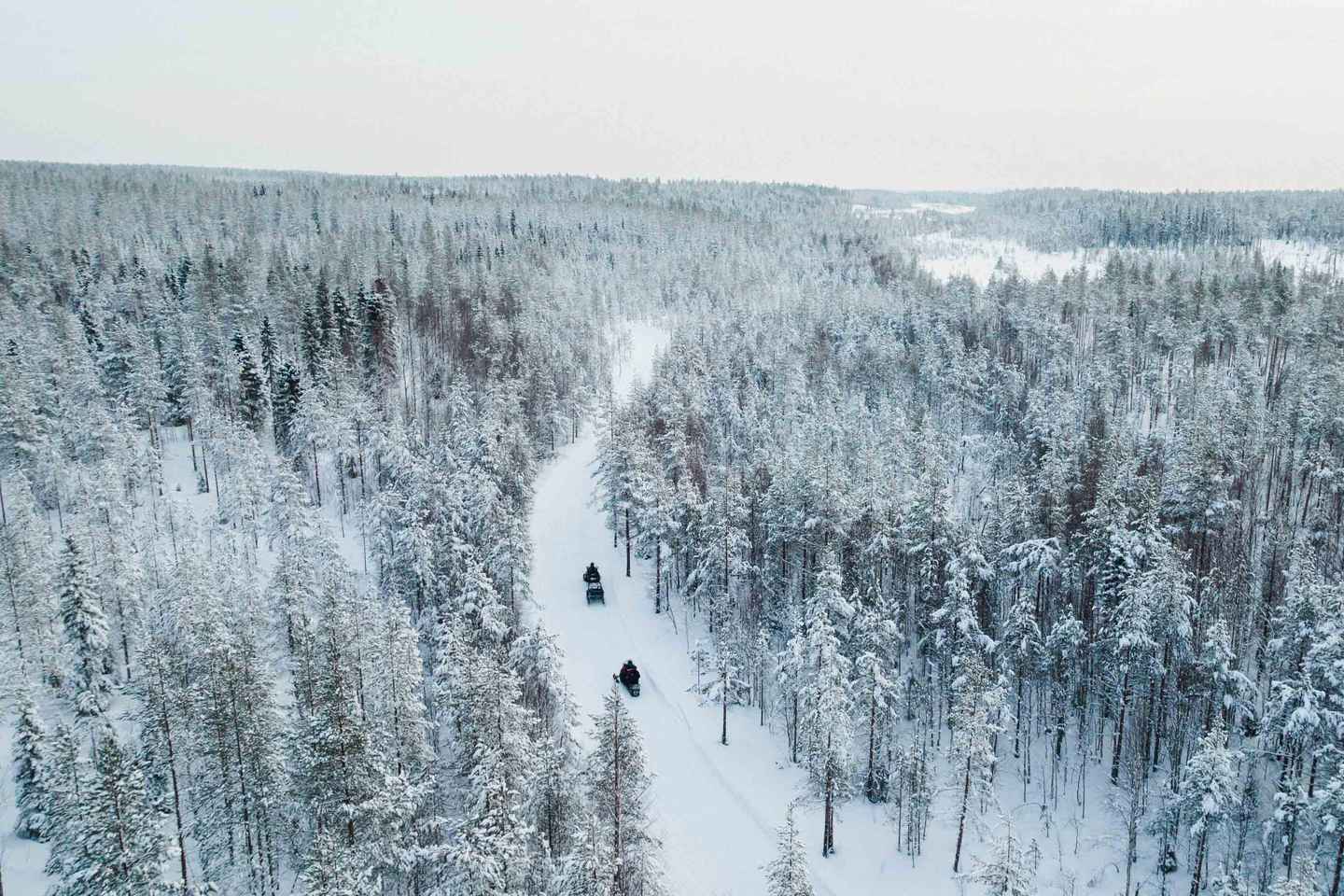 Rovaniemi: 6-Hour Snowmobile Safari in Lapland