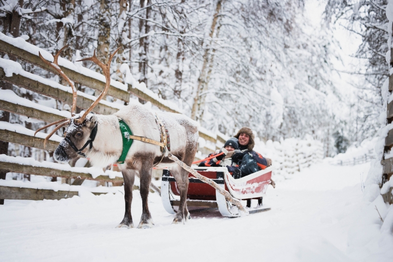 Rovaniemi: gezinsvriendelijke sneeuwscooter- en pooldierentour
