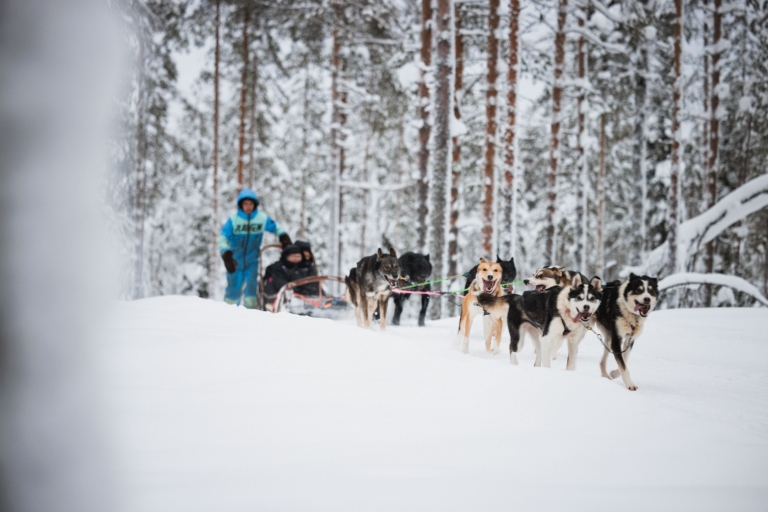 Rovaniemi: Przyjazna rodzinom wycieczka skuterem śnieżnym i zwierzętami arktycznymi