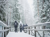 Journée du parc faunique de Ranua, visite des animaux de l'Arctique - Hizvo