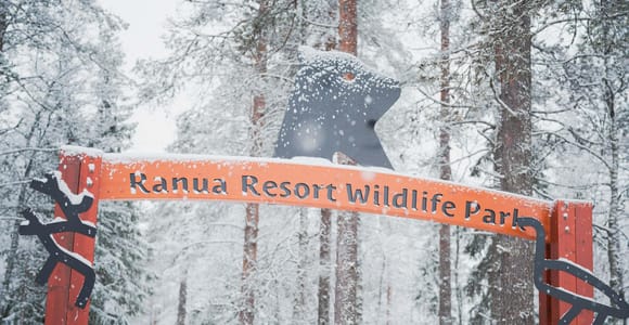 Ranua-Zoo: Besuche die Tiere der Arktis