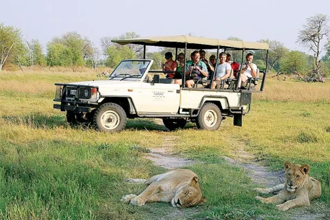 Circuit privé de 4 jours au départ de Lusaka - Zambie, Zimbabwe, Botswana