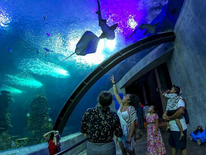 Mazatlan: Grand Aquarium Ticket and City Sightseeing Tour