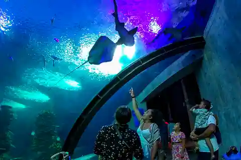 Mazatlan : Billet pour le Grand Aquarium et visite de la ville
