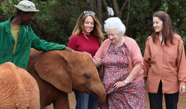 Visit Visit to David Sheldrick Elephant Orphanage in Nairobi, Kenya