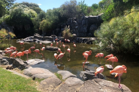 Van Buenos Aires: Temaikèn Zoo Tour met ticket inbegrepen