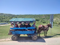 Moldova, Cricova Cellar tour&Old Orhei Archeological Complex - Housity