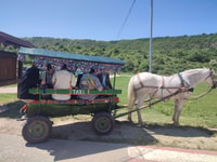 Moldova, Cricova Cellar tour&Old Orhei Archeological Complex - Housity