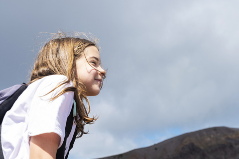 Tour facile del Vesuvio da NapoliVisita guidata del Vesuvio da Napoli