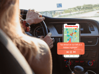 Big Sur Highway 1, tour di guida audio autoguidata - Housity