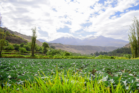 Arequipa city tour with panoramic bus