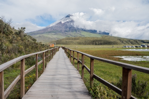 Z Quito | 3-dniowa wycieczka po Andach i Amazonce