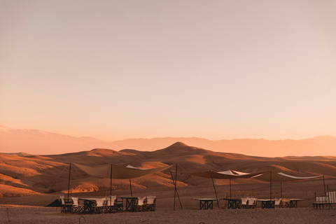 Au départ de Marrakech : Dîner magique dans le désert d'Agafay à dos de chameau