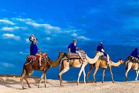 Au départ de Marrakech : Dîner magique dans le désert d'Agafay à dos de chameau