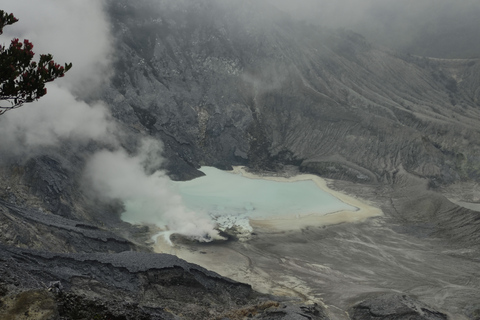 Bandung : Volcan, source thermale, usine de thé et café Luwak