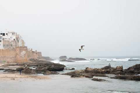 FROM MARRAKECH : DAY TRIP TO ESSAOUIRA