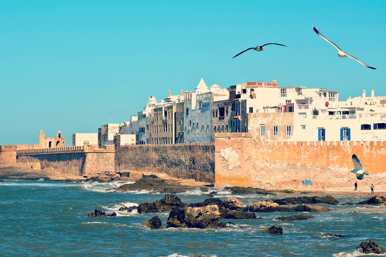 FROM MARRAKECH : DAY TRIP TO ESSAOUIRA