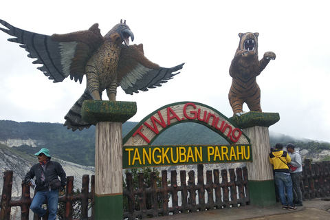 Bandung : Volcan, source thermale, usine de thé et café Luwak