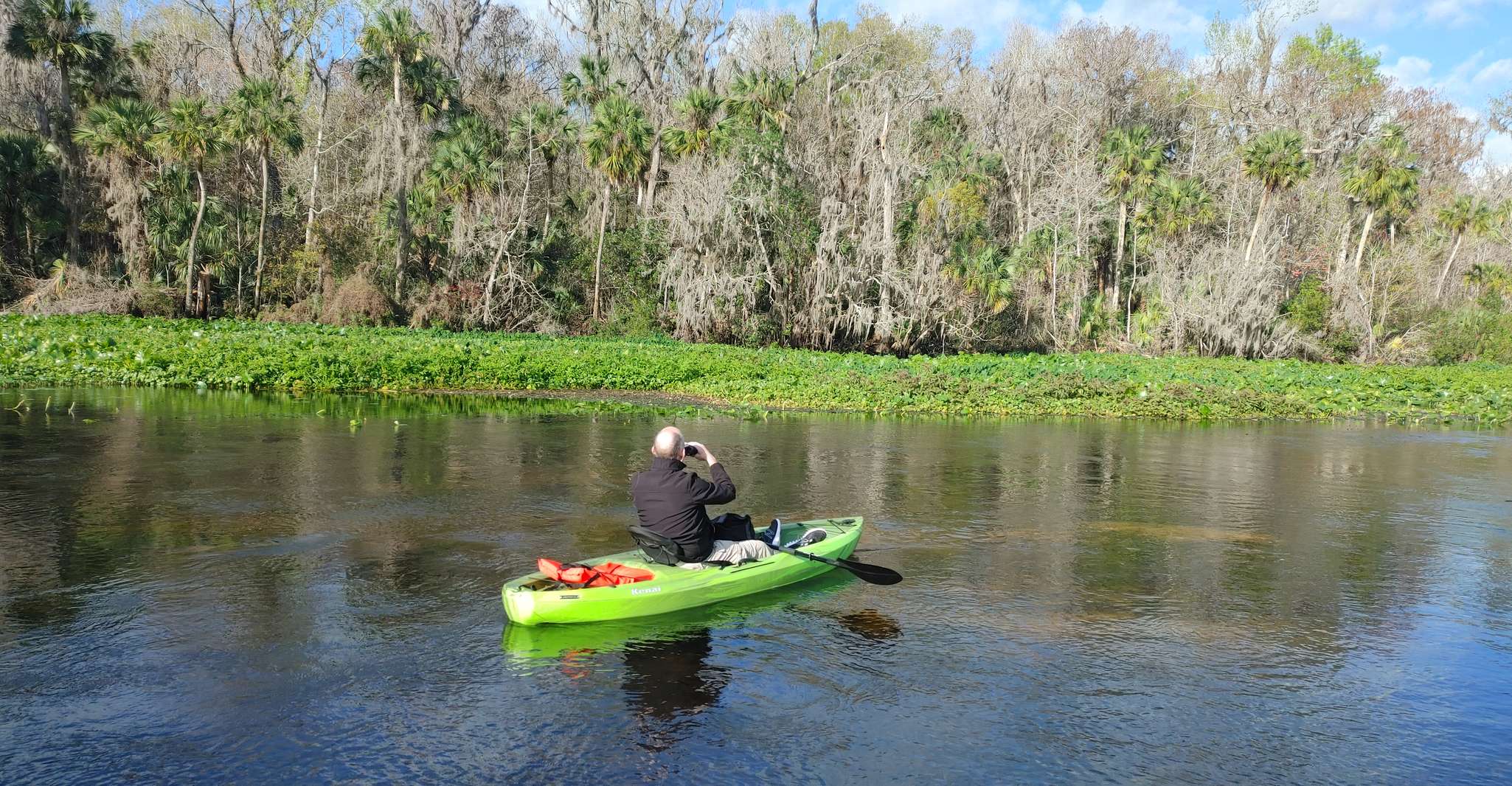 Wekiva Wildlife kayaking Adventure Tour - Housity