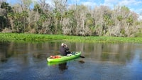 Wekiva Wildlife Kayaking Adventure Tour - Housity