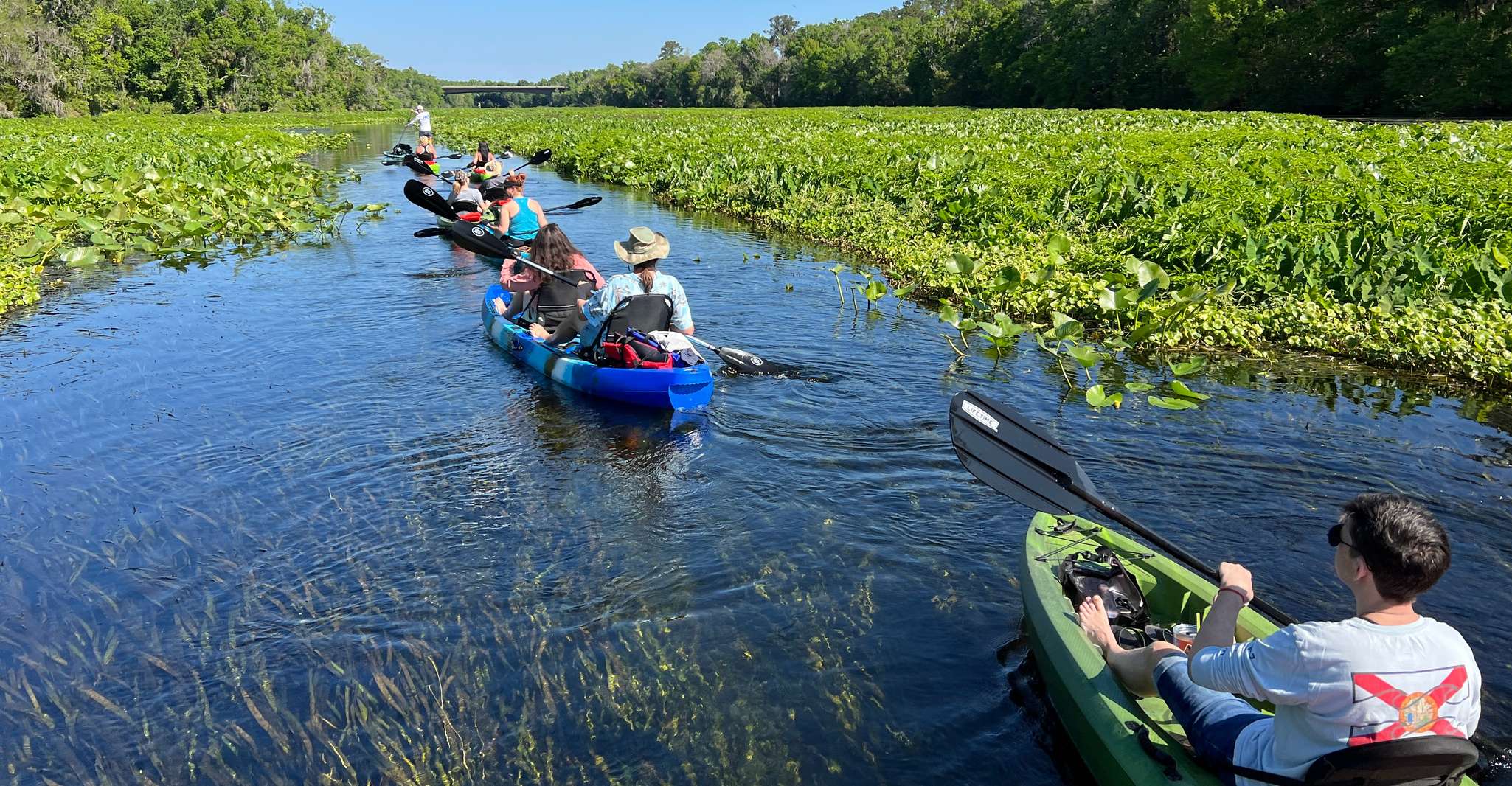 Wekiva Wildlife kayaking Adventure Tour - Housity